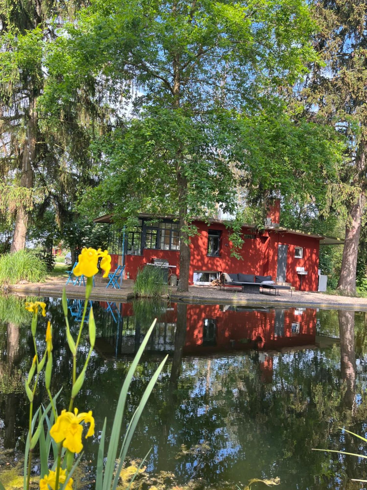 Datscha Am See Worms Exteriér fotografie